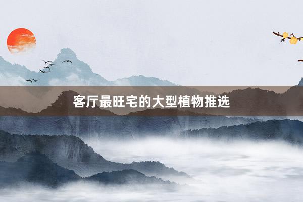 客厅最旺宅的大型植物推选