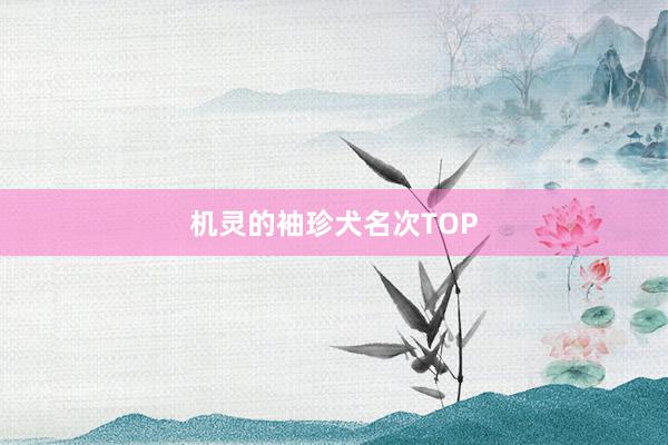 机灵的袖珍犬名次TOP